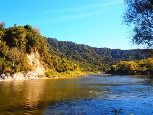 Wanganui river